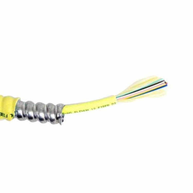 The Light Connection Fiber 12 Fiber Singelmode Indoor OFNP Tight Buffer Armored AIA | Yellow Jacket