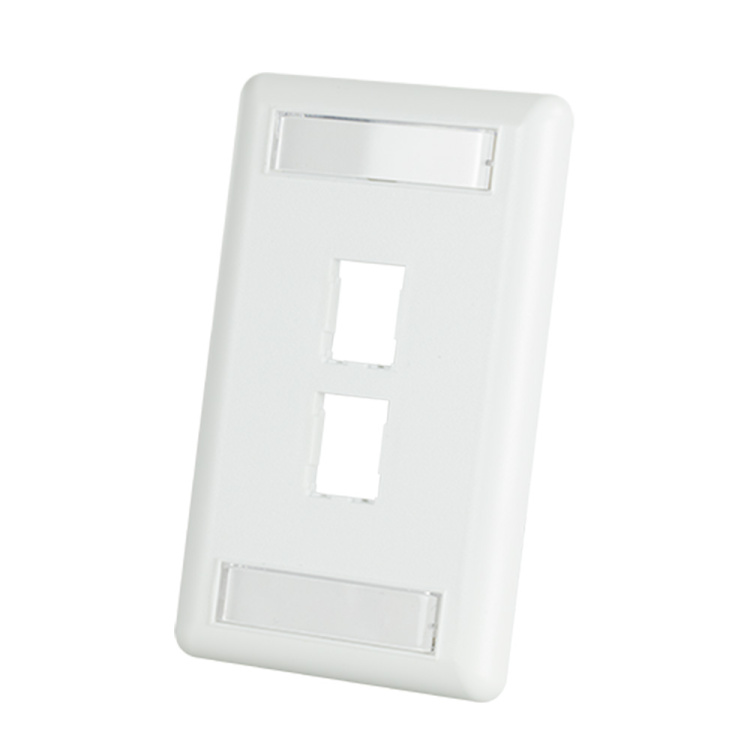 Ortronics 2-Port HDJ Module Faceplate with ID Windows | Fog White