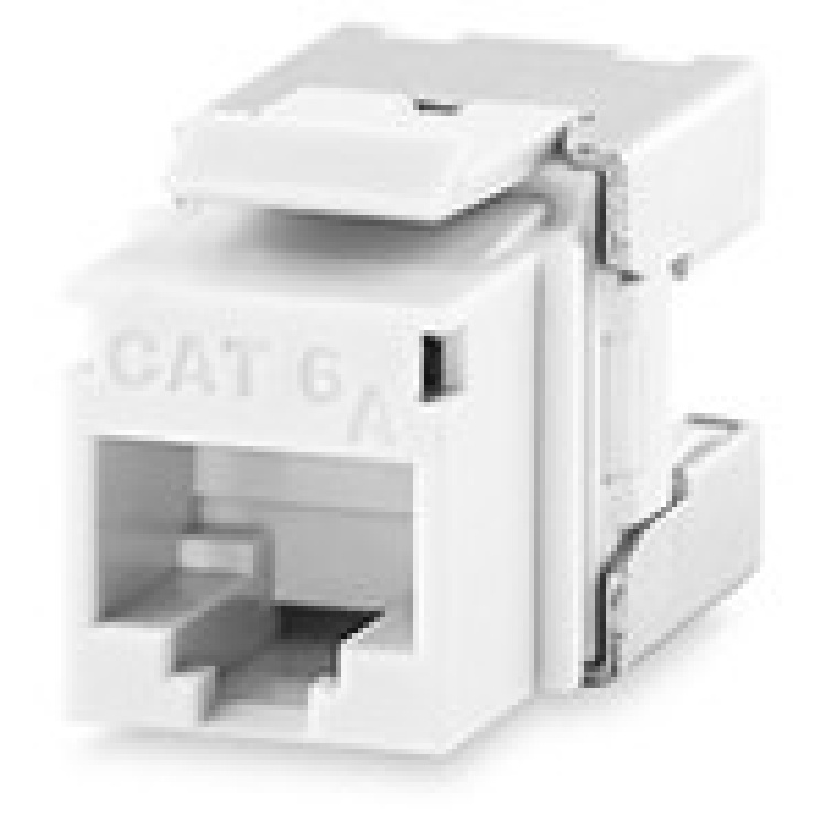 Signamax Cat6a Shielded Keystone