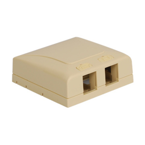ICC 2 Port Surface Mount Box with Icon | Ivory