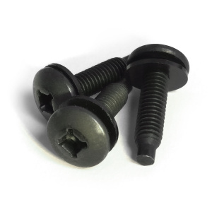 Hammond 12-24 Rack Screws | 50 Pack