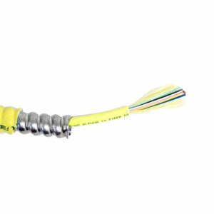 TLC 6 Fiber SM Indoor OFNP TB Armored | Yellow